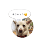 おしゃべりカレン（個別スタンプ：5）