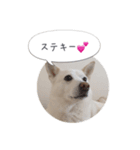 おしゃべりカレン（個別スタンプ：8）