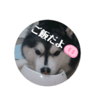 アレちゃんランちゃんスタンプ（個別スタンプ：2）