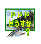 【デカ文字版3】鮎釣り中に使えるスタンプ（個別スタンプ：4）