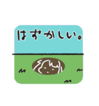 が乃のスタンプ第2弾（個別スタンプ：36）