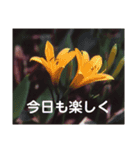 こころ休まる花と風景(11)（個別スタンプ：1）