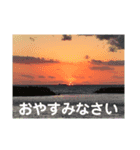 こころ休まる花と風景(11)（個別スタンプ：8）