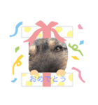 マルの1日（個別スタンプ：7）
