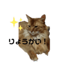 ソラくんの日常スタンプ（個別スタンプ：4）