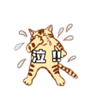 ベンガル猫の大吉くん（個別スタンプ：2）