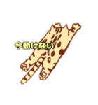 ベンガル猫の大吉くん（個別スタンプ：6）