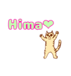 ベンガル猫の大吉くん（個別スタンプ：13）