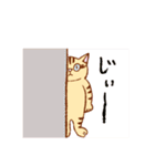ベンガル猫の大吉くん（個別スタンプ：16）
