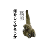動物の気持ちシリーズ（個別スタンプ：4）