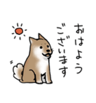 しばいぬとくろねこ（個別スタンプ：1）