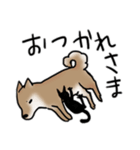 しばいぬとくろねこ（個別スタンプ：5）