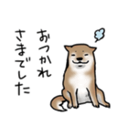 しばいぬとくろねこ（個別スタンプ：7）