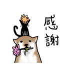 しばいぬとくろねこ（個別スタンプ：8）