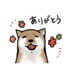 しばいぬとくろねこ（個別スタンプ：9）