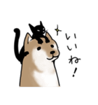 しばいぬとくろねこ（個別スタンプ：11）