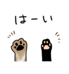 しばいぬとくろねこ（個別スタンプ：13）