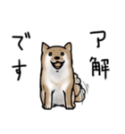 しばいぬとくろねこ（個別スタンプ：17）