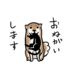 しばいぬとくろねこ（個別スタンプ：18）