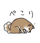 しばいぬとくろねこ（個別スタンプ：20）