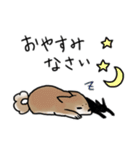 しばいぬとくろねこ（個別スタンプ：22）