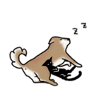 しばいぬとくろねこ（個別スタンプ：23）