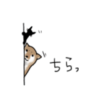 しばいぬとくろねこ（個別スタンプ：25）