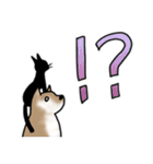 しばいぬとくろねこ（個別スタンプ：28）