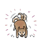 しばいぬとくろねこ（個別スタンプ：31）