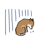 しばいぬとくろねこ（個別スタンプ：35）