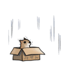 しばいぬとくろねこ（個別スタンプ：37）