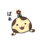 毎日使える！オオサンショウウオくん2（個別スタンプ：6）