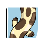 毎日使える！オオサンショウウオくん2（個別スタンプ：36）
