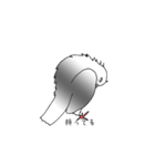 ハトのスタンプ（個別スタンプ：5）