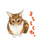 ちゃちゃマロスタンプ（個別スタンプ：1）