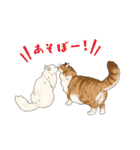 ちゃちゃマロスタンプ（個別スタンプ：2）