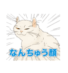 ちゃちゃマロスタンプ（個別スタンプ：4）