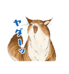 ちゃちゃマロスタンプ（個別スタンプ：5）