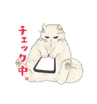 ちゃちゃマロスタンプ（個別スタンプ：6）