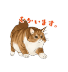 ちゃちゃマロスタンプ（個別スタンプ：10）