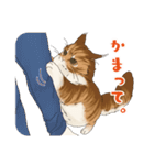 ちゃちゃマロスタンプ（個別スタンプ：12）