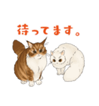 ちゃちゃマロスタンプ（個別スタンプ：13）