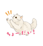 ちゃちゃマロスタンプ（個別スタンプ：16）