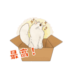 ちゃちゃマロスタンプ（個別スタンプ：18）