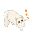 ちゃちゃマロスタンプ（個別スタンプ：23）