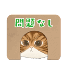 ちゃちゃマロスタンプ（個別スタンプ：25）