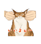 ちゃちゃマロスタンプ（個別スタンプ：27）