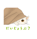 ちゃちゃマロスタンプ（個別スタンプ：28）
