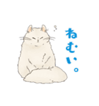 ちゃちゃマロスタンプ（個別スタンプ：38）