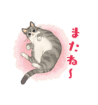 ちゃちゃマロスタンプ（個別スタンプ：40）